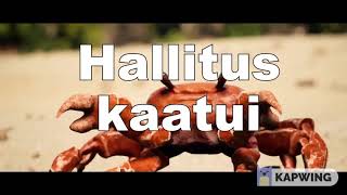 Hallitus kaatui