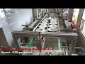 FEXIK F-J25 Paper Towel Toilet Tissue Bundle Packing Machine Manufacture