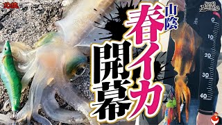 【春エギング調査】早速キロアップ！？今年は爆釣の予感！皆で春イカ釣りに出よう！！