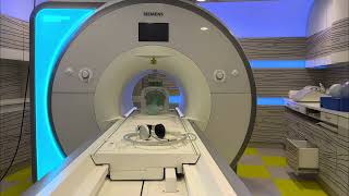 🧲 Aera 1.5T Siemens MRI / Magnet Brain Scan Sounds / MRT