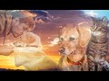 Do Our Pets Go to Heaven? | NDE Compilation | Near Death