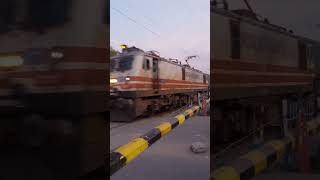 WAP5 : The workhorse of Indian Railways. Howrah, BRC and GZB shed