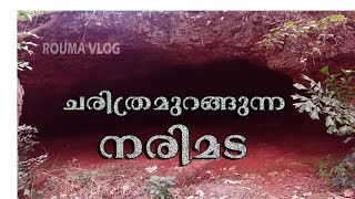 #cave #ayyaya #malappuam  ചരിത്രമുറങ്ങുന്ന നരിമട Ⅱ Miracle cave in Malappuram,Tirur Ⅱ ROUMA VLOG