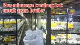 Kandang Rak Ayam Broiler Pertama di Jambi