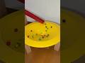 HABA Yellow Large Circle & lots of colorful marbles rolling down⑤ #satisfying #asmr