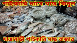 পাইকারি মাছের বর্তমান দাম / Jatrabari Fish Market & Fish Prices 19 November 2024 || My Life