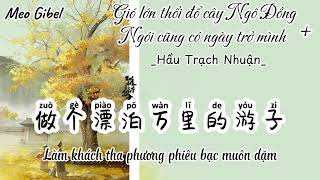 [Vietsub+Pinyin]Gió lớn thổingãcây Ngô Đồng+Ngóicũngcóngàyvươnmình.HầuTrạchNhuận.大风吹倒梧桐树+瓦片也有翻身日-侯泽润