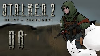 Stalker 2 - 06 | Poppy field