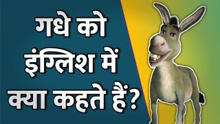 Gadha in English | Gadhe ko English mein kya kehate hain | गधे का इंग्लिश | Shabdkosh Dictionary