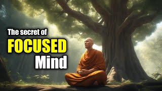 The secret to stay focused on your goal - a profound Buddha story