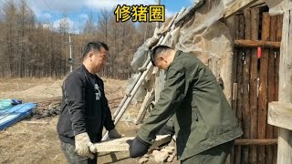 台湾大哥第一次在山村吃早餐，吃到撑，穿上这件衣服秒变农村人【东北林区艾三】