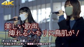 【 感動の歌声！】美しい歌声、痺れるハモリに鳥肌が！　オリジナル曲「白紙」 \