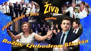 @RadiobiserAt Don Korleone i Božojevici (Vlaško veselje u Beču) #saxophone #proslava #truba #igranka