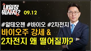 [박찬홍] 내일장 뭐사지? 2차전지 왜? 떨어질까? 매도해야할까? 속시원한 답변!! #2차전지 #알테오젠 #바이오 09.12