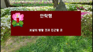 14 안락행