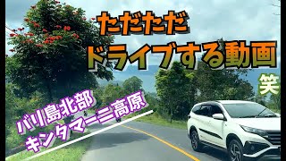 【バリ島生活】バリ島の観光名所「キンタマーニ高原」でランチした後綺麗な景色を眺めながらのドライブ動画♪