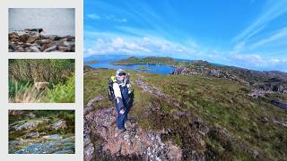 Wildlife photography on Scotland's Isle of Rona