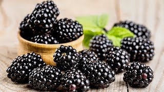 5 Incredible Health Benefits Of Blackberries