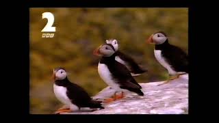 BBC Birding with Bill Oddie Trailer (Feb 1997)