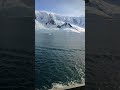 follow for more Antarctica clips #viral #antarctica #shortvideo #shortsfeed #penguin(4)