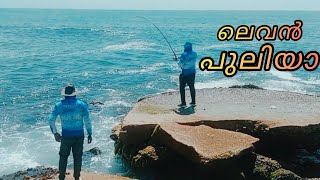 ഇവൻ ഒരു ഒന്നൊന്നര മൊതലാ 🔥🎣🎣#viralvideo #trending #youtube #salalah #fishing #fish #beach #explore