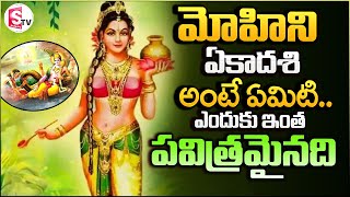 మోహిని ఏకాదశి అంటే ఏమిటి.. | Mohini Ekadashi Story in Telugu | Ekadasi Pooja Precautions