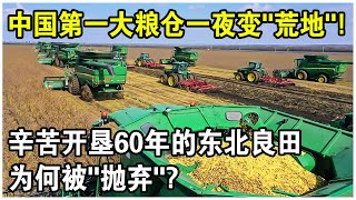 中國第一大糧倉一夜變“荒地”？辛苦開墾60年的東北良田遭“拋棄”，20年後首次現狀曝光！