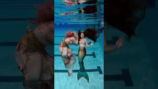 Swimming with mermaids!!! I’m HOOKED! 😏🧜🏻‍♀️🪝#mermaid #thelittlemermaid #mertailor