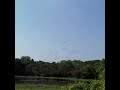 Migratory Birds at Jahangirnagar University