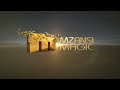 SIC Entertainment | Mzanzi Magic (2012)