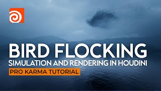 Bird Flocking Simulation And Rendering In Houdini | Pro Karma Tutorial