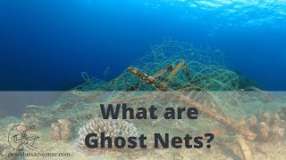 What are ghost nets? (ghost net over reef)