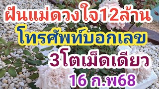 ฝันแม่ดวงใจบอกเลข 3โตเม็ดเดียว ฟังให้จบ 16ก.พ68