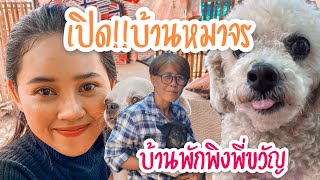 เปิดบ้านสุนัขจรจัดที่โคราช|มิเกวพาทัวร์