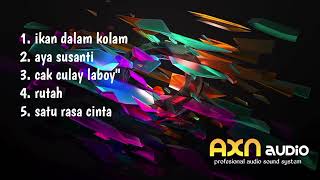 cover axn audio ikan dalam kolam