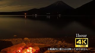 【焚き火の癒し】深い眠りを誘う自然音BGM｜安眠・癒しの1時間｜4K 焚き火動画｜環境音｜ASMR