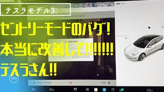 テスラ　モデル3上海モデル　セントリーモードのバグ⁉️ 50代テスラオーナーVlog