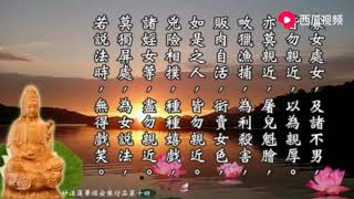 《妙法莲华经》安乐行品第十四 慧平法师 读诵