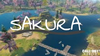 Sakura adventure
