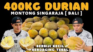 400KG DURIAN MONTONG ⁉️ DARI SINGARAJA [ BALI ] #durian #durianmontong #masduren