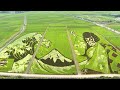 Japanese city transforms agricultural land into works of art