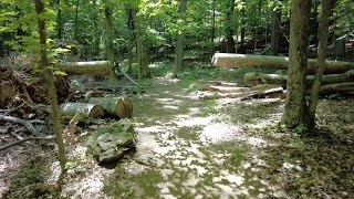 Catoctin Mountain Park, Maryland - Catoctin Mountain Park Tour (2022)