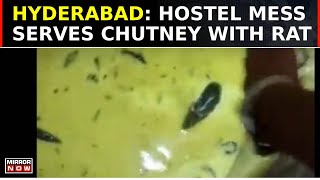 Hyderabad JNTU Hostel Horror: Rat Found Swimming In Chutney Served By Mess, Video Triggers Outrage