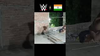 WWE India 🇮🇳 vs WWE | Roman Reigns vs Brock Lesnar#shorts #viral