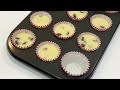 香草巧克力迷你纸杯蛋糕 无蛋无牛奶无黄油 eggless and dairy free vegan vanilla chocolate chips mini cupcakes 95