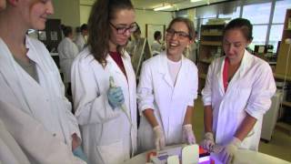 Biodiversity research and hands-on teaching