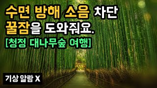 🎋😪 꿀잠을 방해하는 주변 소음 차단! 숲 속 사운드 & 팬플룻 음악 with 청정 대나무숲으로의 숙면 테마 여행