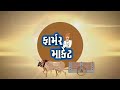 કપાસમાં તેજી ક્યારે કપાસની હાલત ખરાબ કપાસ બજાર kapas na bhav 20.2.25 ફાર્મર માર્કેટ