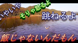 リバレイフローターでリザーバーバスフィッシング まずめ以外の釣り方を教えてください　後編cab fishing