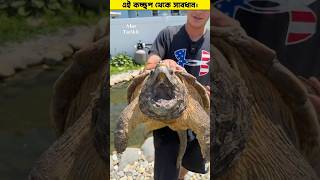 আলিগেটার স্ন্যাপিং টারটেল থেকে সাবধান। 🤯 #shorts #animals #turtle || Alor Tarikh